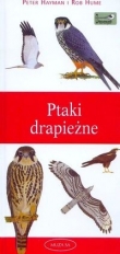 Ptaki drapieżne