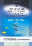 Europejskie zgrupowanie interesów gospodarczych. Komentarz