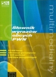 Multimedialny słownik wyrazów obcych PWN (Płyta CD)