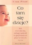 Co tam się dzieje