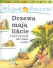 Ciekawe dlaczego drzewa mają liście i inne pytania na temat roślin