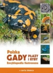 Polska Gady, płazy i ryby Encyklopedia ilustrowana