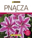 Pnącza