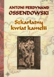 Szkarłatny kwiat kamelii