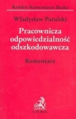 Pracownicza odpowiedzialność odszkodowawcza. Komentarz