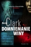 Domniemanie winy