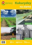 ABC uprawy kukurydzy na ziarno