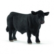 Aberdeen Angus
