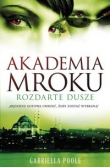 Akademia Mroku Rozdarte dusze
