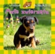 Album malucha - Małe zwierzęta