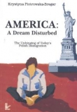 America A dream disturbed