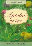 Apteka na łące. Rośliny, które leczą