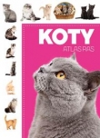 Atlas ras Koty