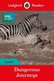 BBC Earth: Dangerous Journeys