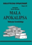 B.46 - MAŁA APOKALIPSA 
