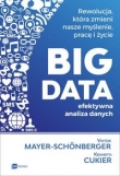 BIG DATA - efektywna analiza danych