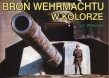 Broń Wehrmachtu w kolorze