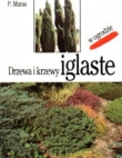 Drzewa i krzewy iglaste