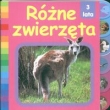 Różne zwierzęta