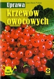 Uprawa krzewów owocowych