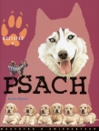 Wszystko o psach