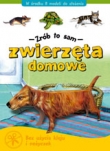 Zwierzęta domowe - zrób to sam