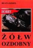 Żółw ozdobny