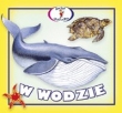 W wodzie