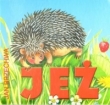 Jeż
