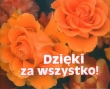 Perełka 191. Dzięki za wszystko!