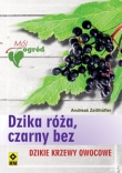 Dzika róża czarny bez