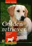 Golden retriever Rasy psów