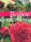 Rośliny doniczkowe