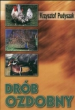 Drób ozdobny