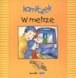 Kamyczek. W metrze