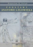 Podstawy anatomii człowieka