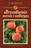 Brzoskwinia morela