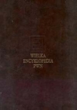 Wielka encyklopedia PWN T.13