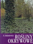 Rośliny okrywowe