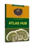 Atlas hub