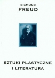 Sztuki plastyczne i literatura t.10