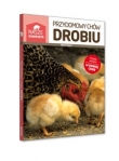 Przydomowy chów drobiu