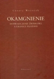 Okamgnienie