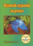 Bojownik syjamski za grosze