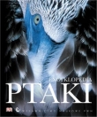 Ptaki Encyklopedia