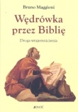 Wędrówka przez Biblię