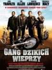 Gang dzikich wieprzy / Wild hogs