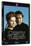 Czarny tulipan / Tulipe noire