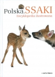 Polska Ssaki Encyklopedia ilustrowana