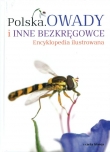 Polska Owady i inne bezkręgowce Encyklopedia ilustrowana